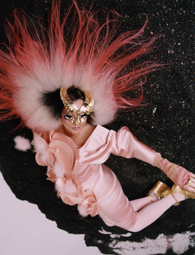 Bj&#246;rk – winter 2019 1