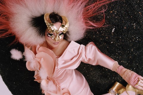 Bj&#246;rk – winter 2019 1